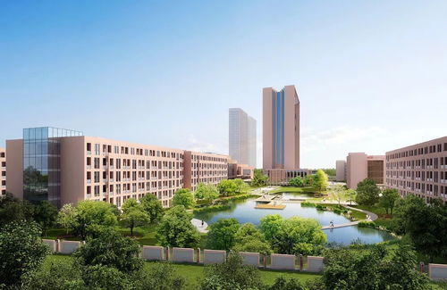 潁東 19宗地、70億投資、65個城建項目助力區域騰飛，對標昆山花橋中心校建設